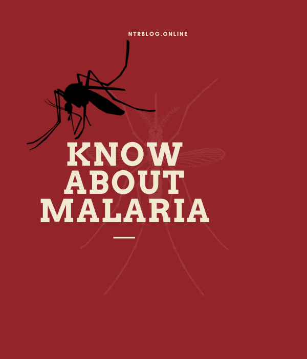 Malaria Treatment And Prevention Ntrblog Online