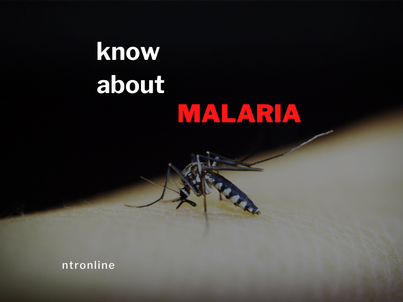 Malaria: Symptoms, Cause and risk factors(2023) - ntrblog.online