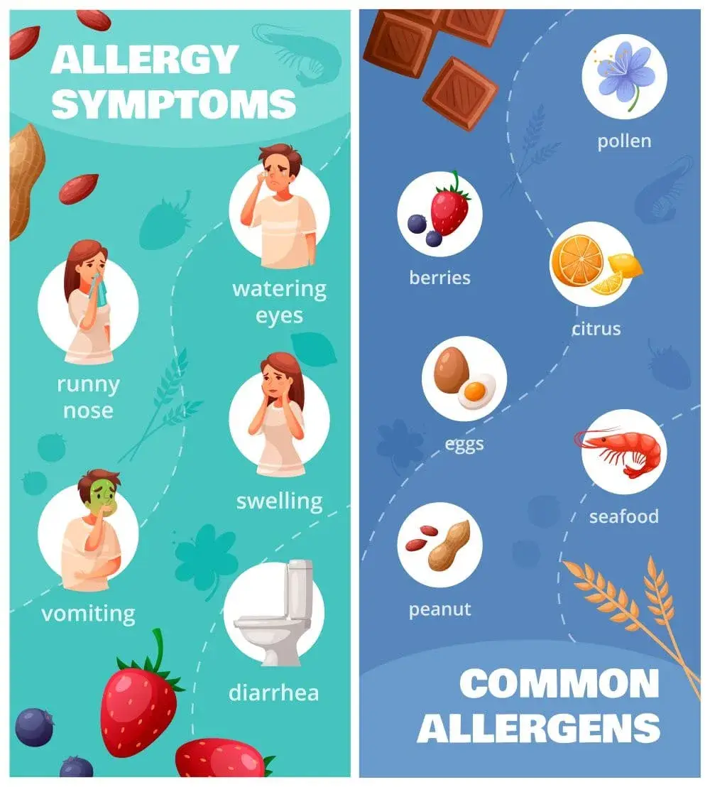 “Understanding Food Allergies (2024)”: - ntrblog.online